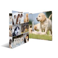 Ringbuch A4 Karton 2D Hunde